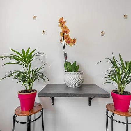 Apartment Estudio Rebe *